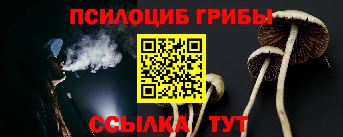Галлюциногенные грибы мицелий  Вход с VPN  Галлюциногенные грибы GOLDEN TEACHER  Таганрог 